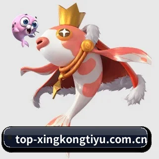 星空体育官网 APP